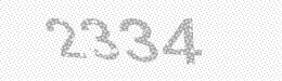 Visual security code — type the characters shown in the image