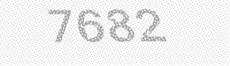 Visual security code — type the characters shown in the image